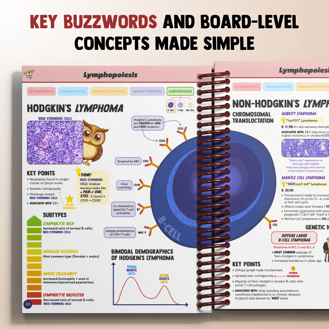 The Complete USMLE Step 1 Bundle