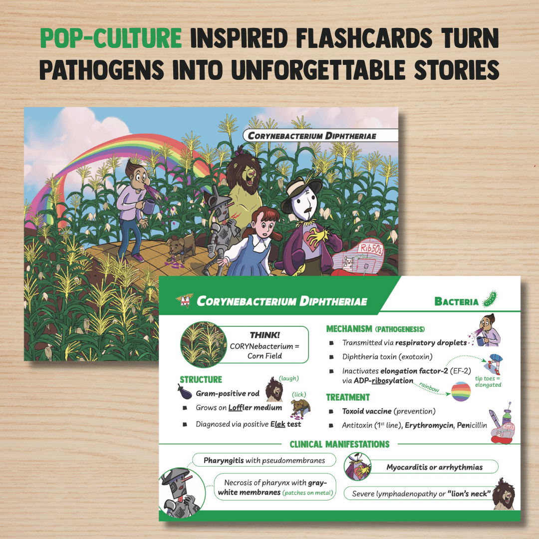 USMLE Flashcards - Pharmacology & Microbiology