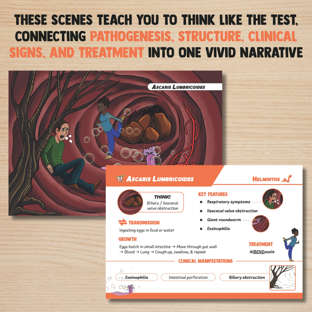 USMLE Flashcards - Pharmacology & Microbiology