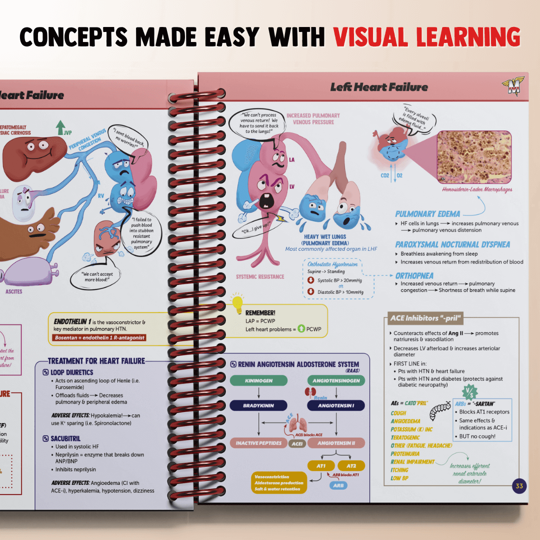 The Complete USMLE Step 1 Bundle