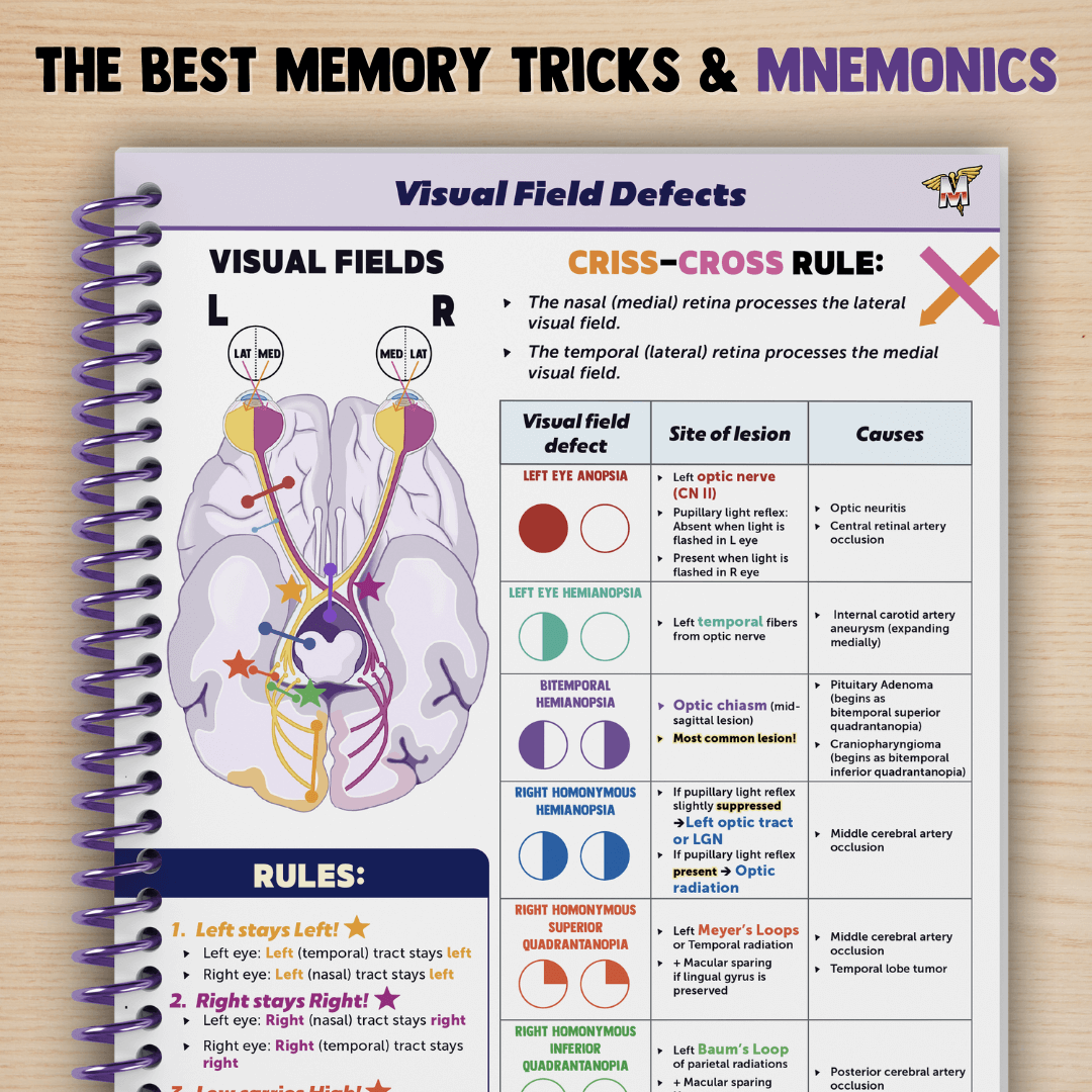 Neurology & Special Senses