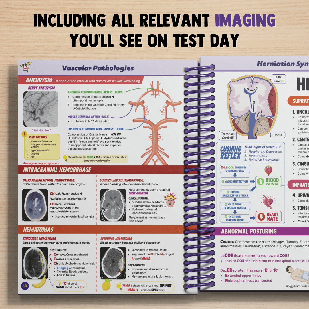 Neurology & Special Senses