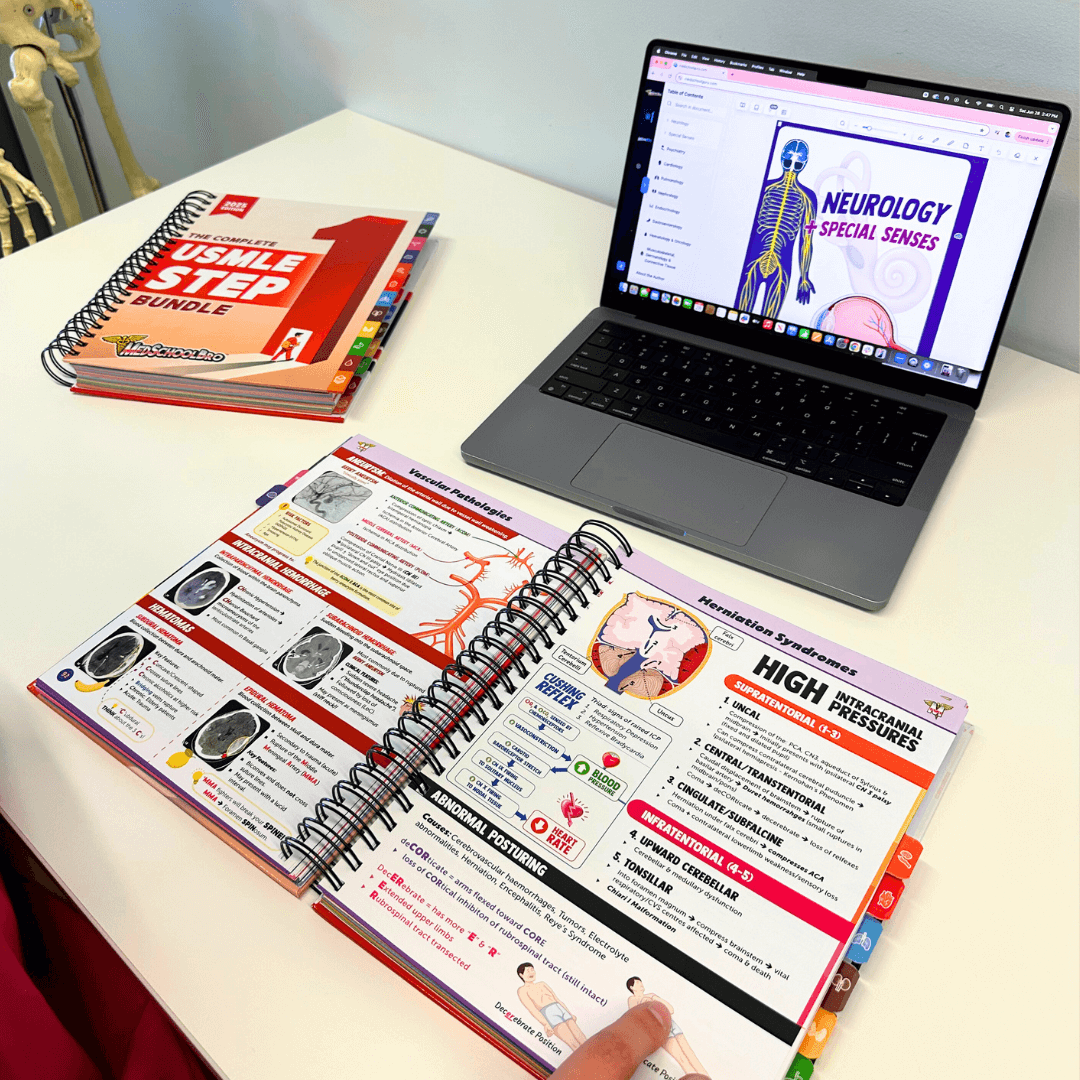 The Complete USMLE Step 1 Bundle – MedSchoolBro The Complete USMLE Step 1 Bundle – MedSchoolBro