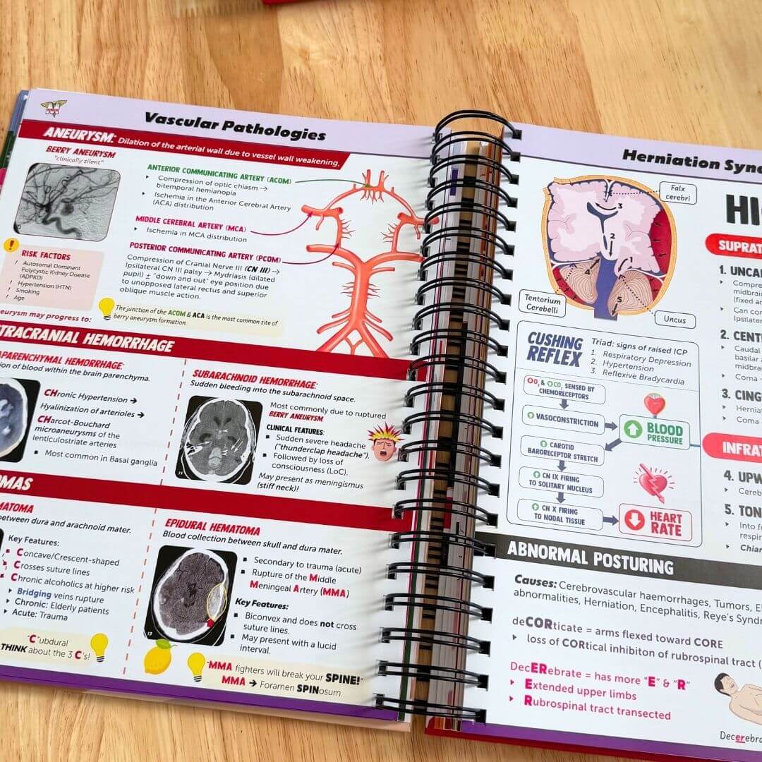 The Complete USMLE Step 1 Bundle – MedSchoolBro