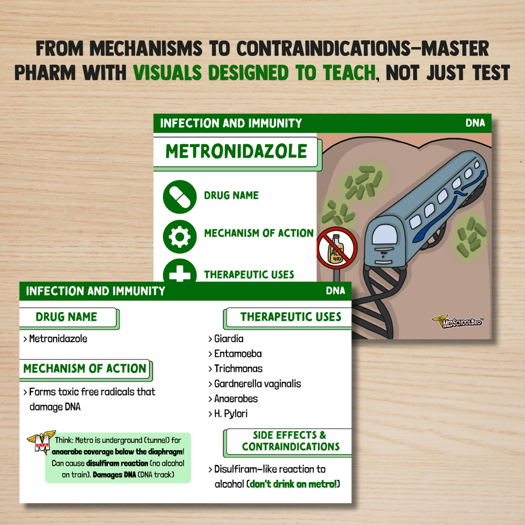 USMLE Flashcards - Pharmacology & Microbiology