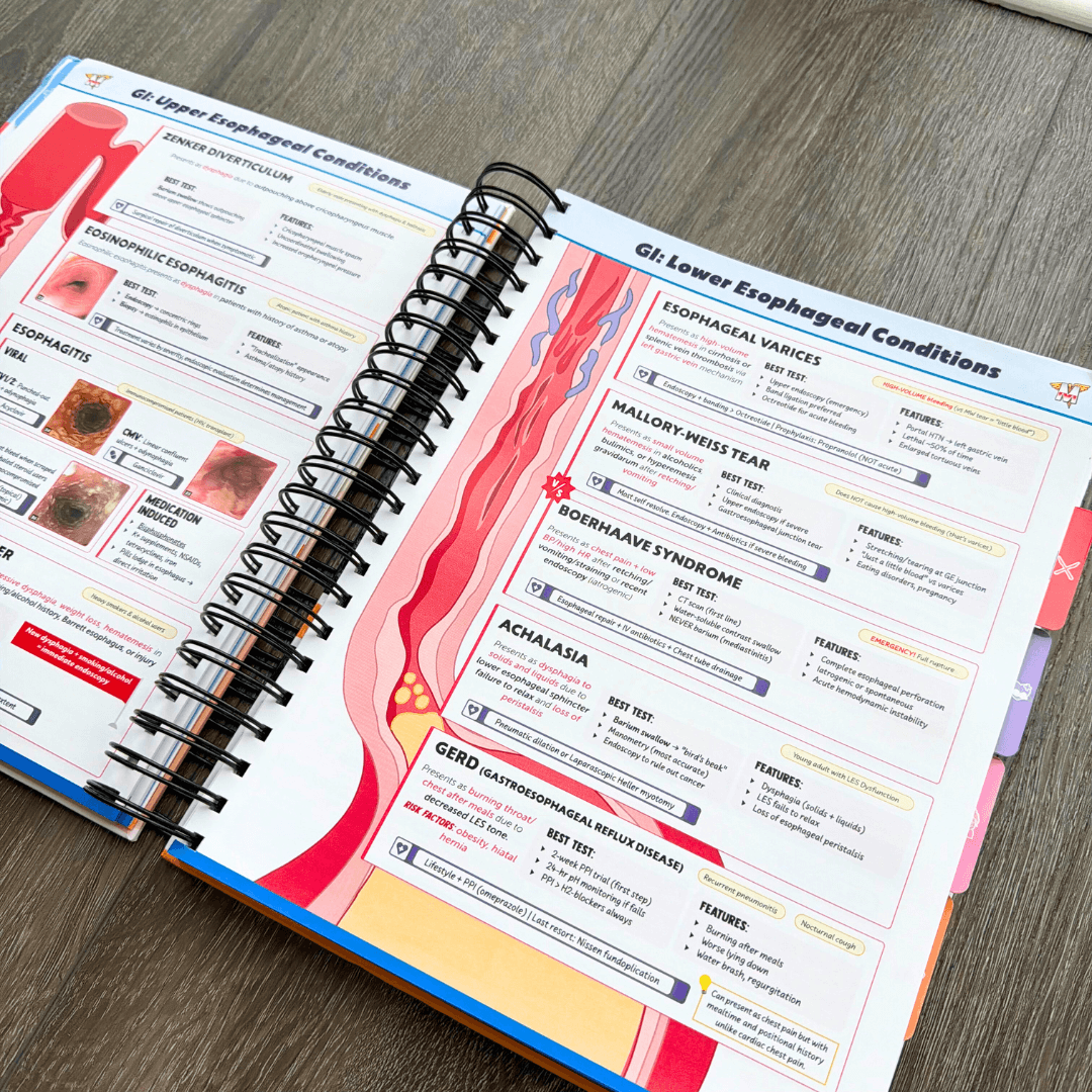 The Complete USMLE Step 2 Bundle