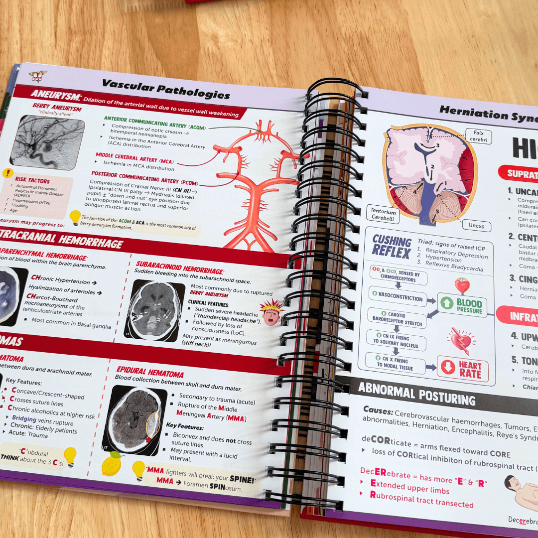 The Complete USMLE Step 1 Bundle