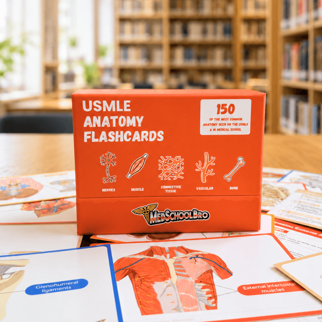 Anatomy Flashcards