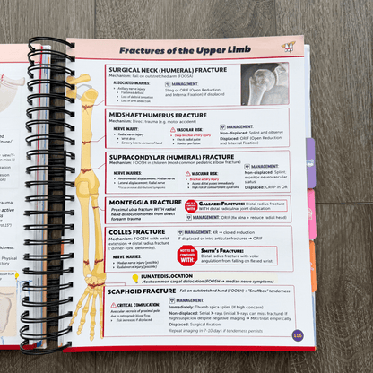 The Complete USMLE Step 2 Bundle