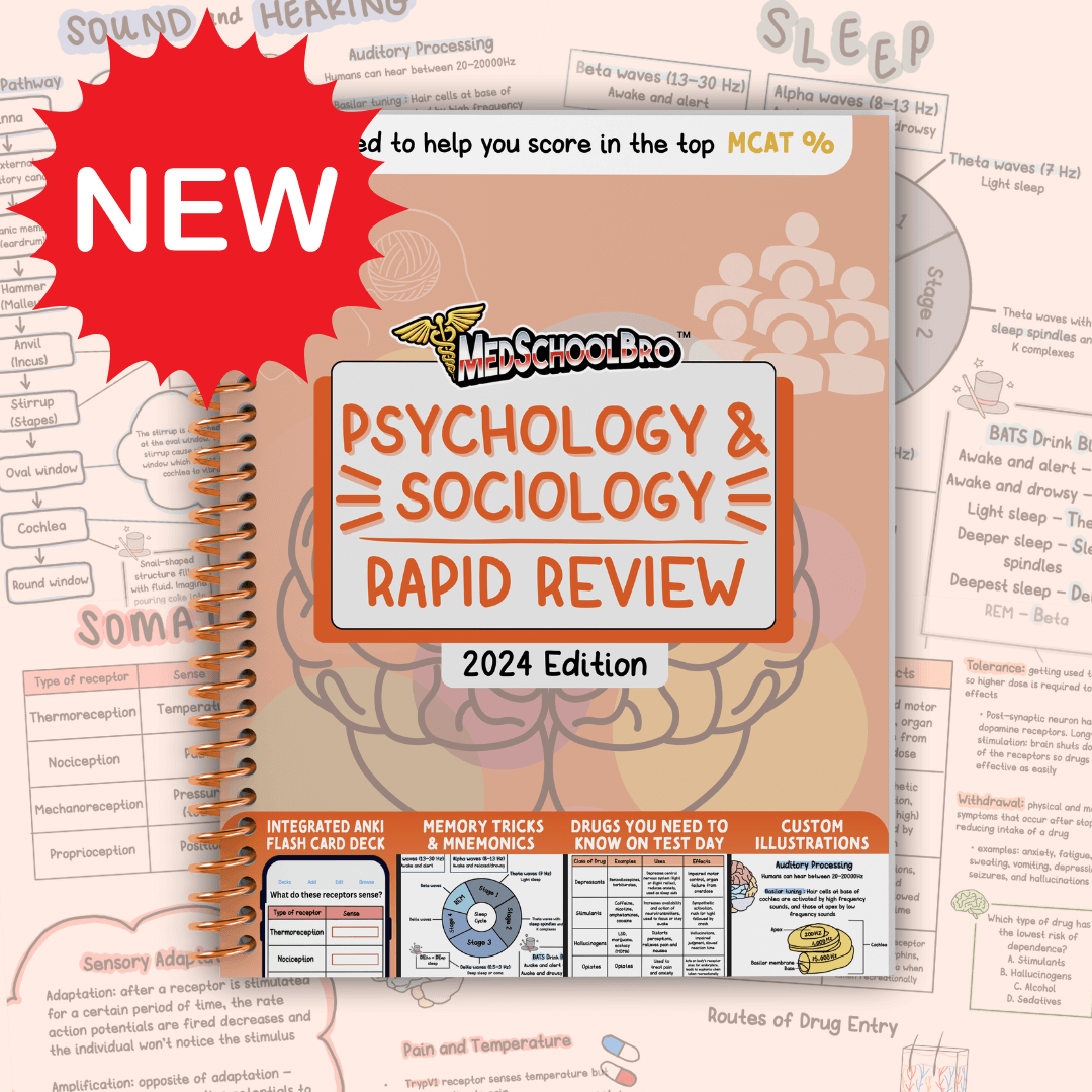 Psychology & Sociology: Rapid Review