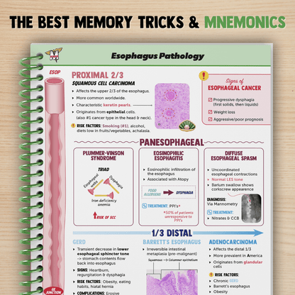 Gastroenterology