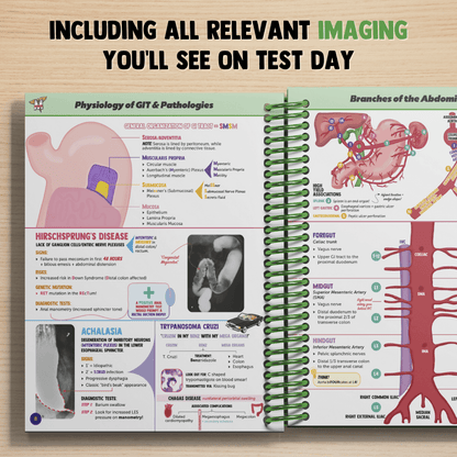 Gastroenterology