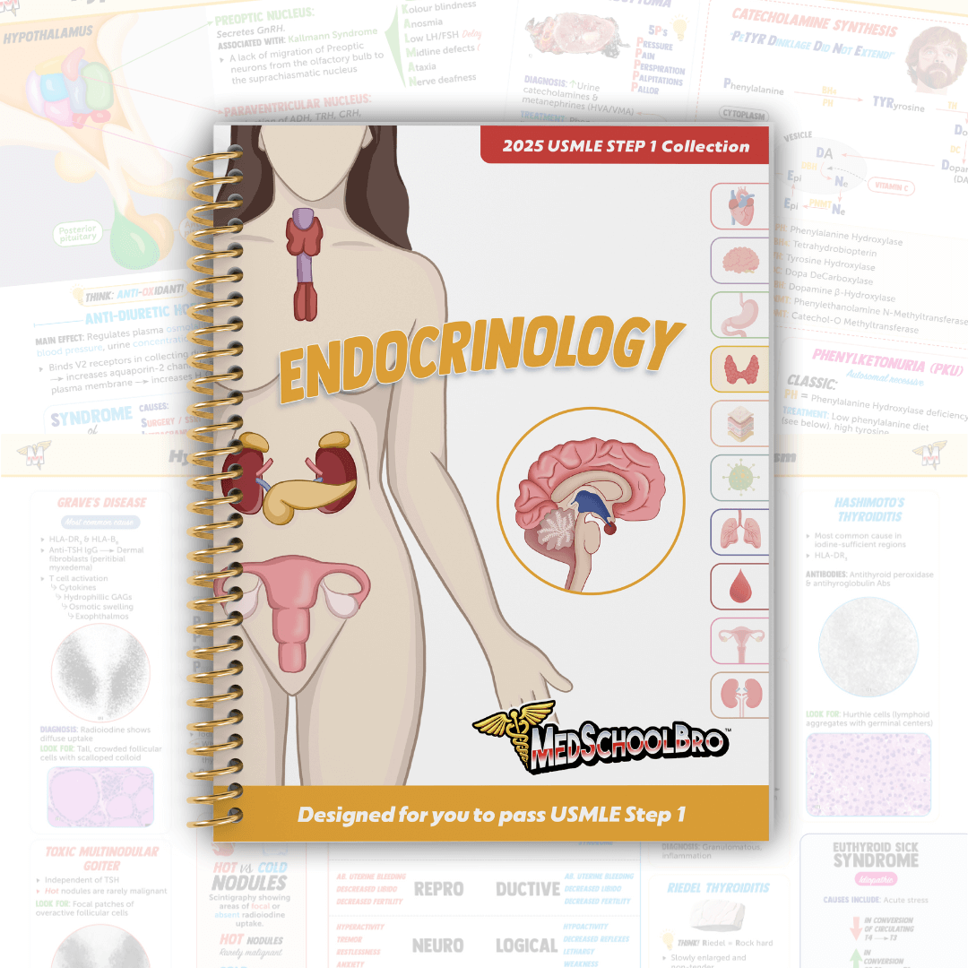 Endocrinology