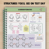 Biology & Biochemistry eBook