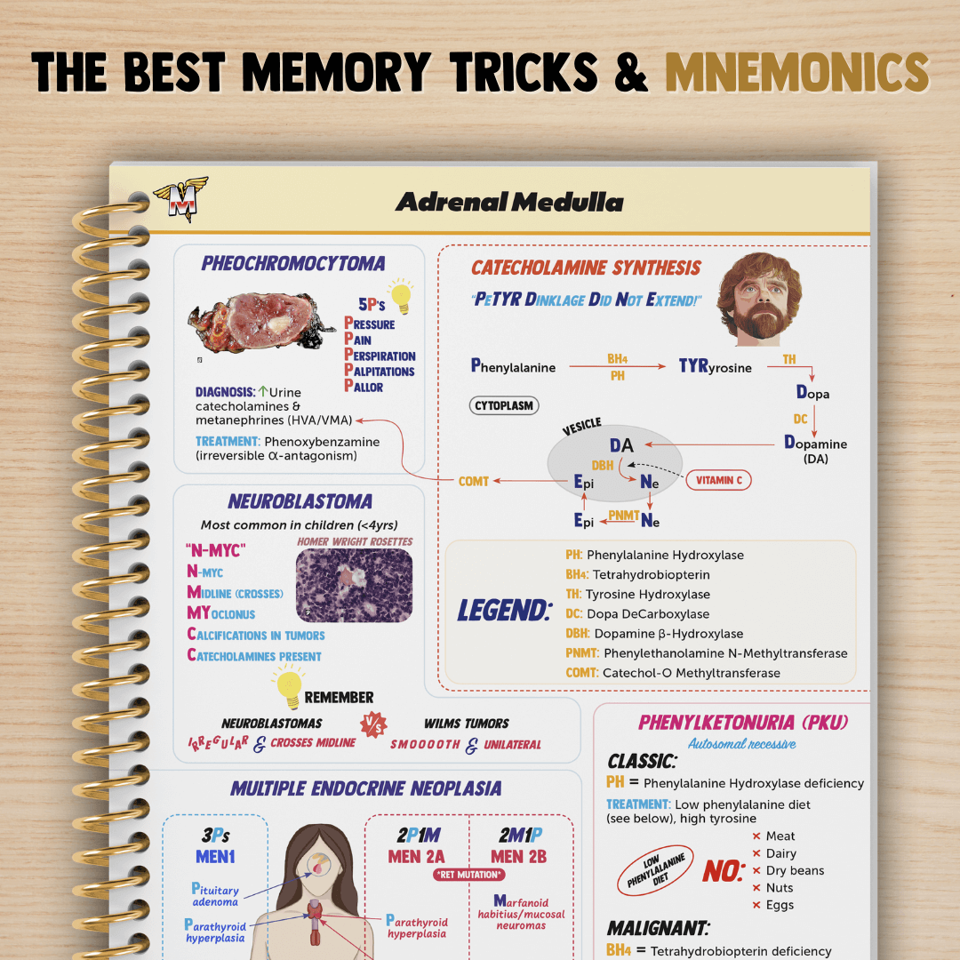 Endocrinology