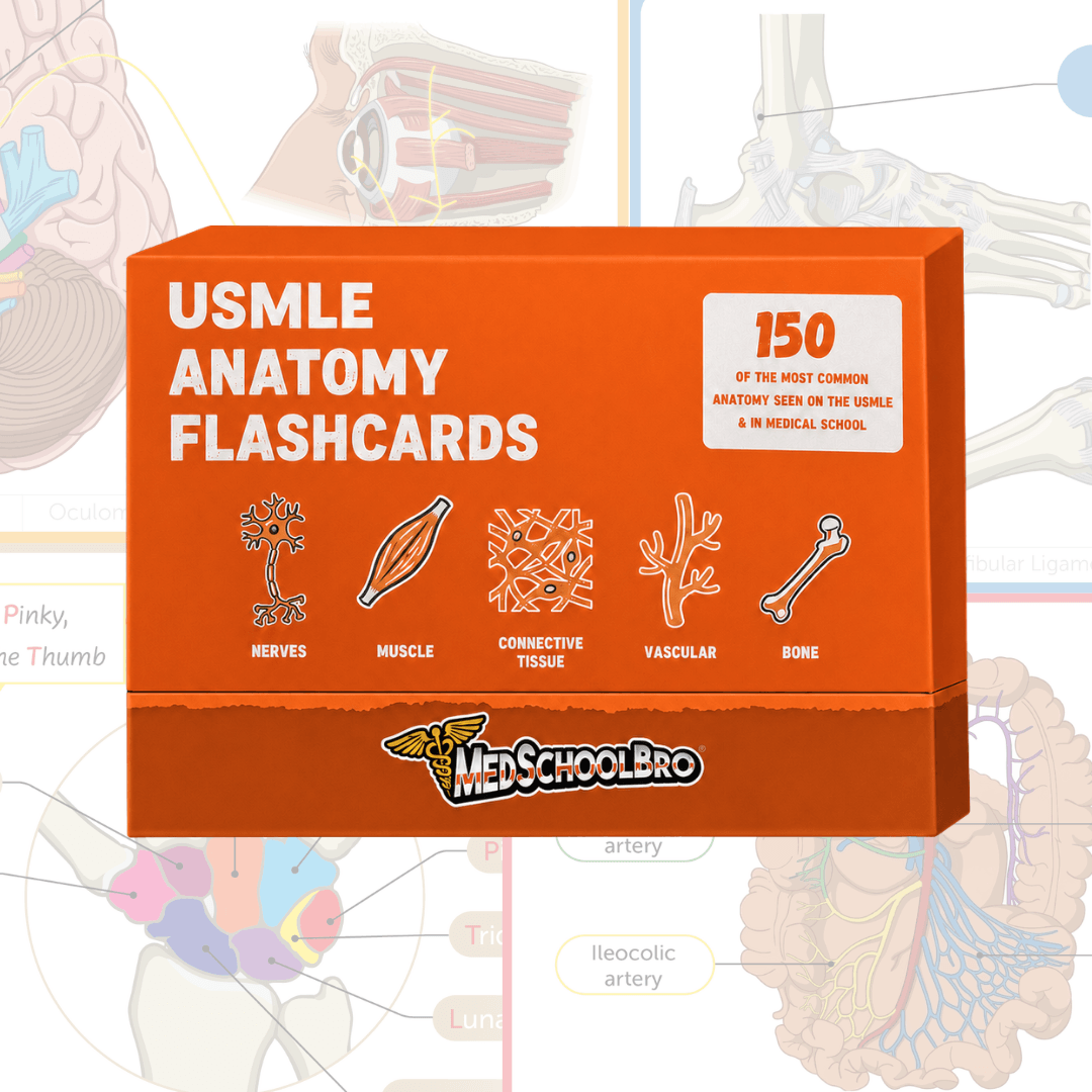 Anatomy Flashcards