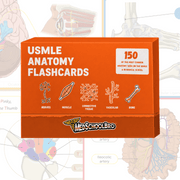 Anatomy Flashcards