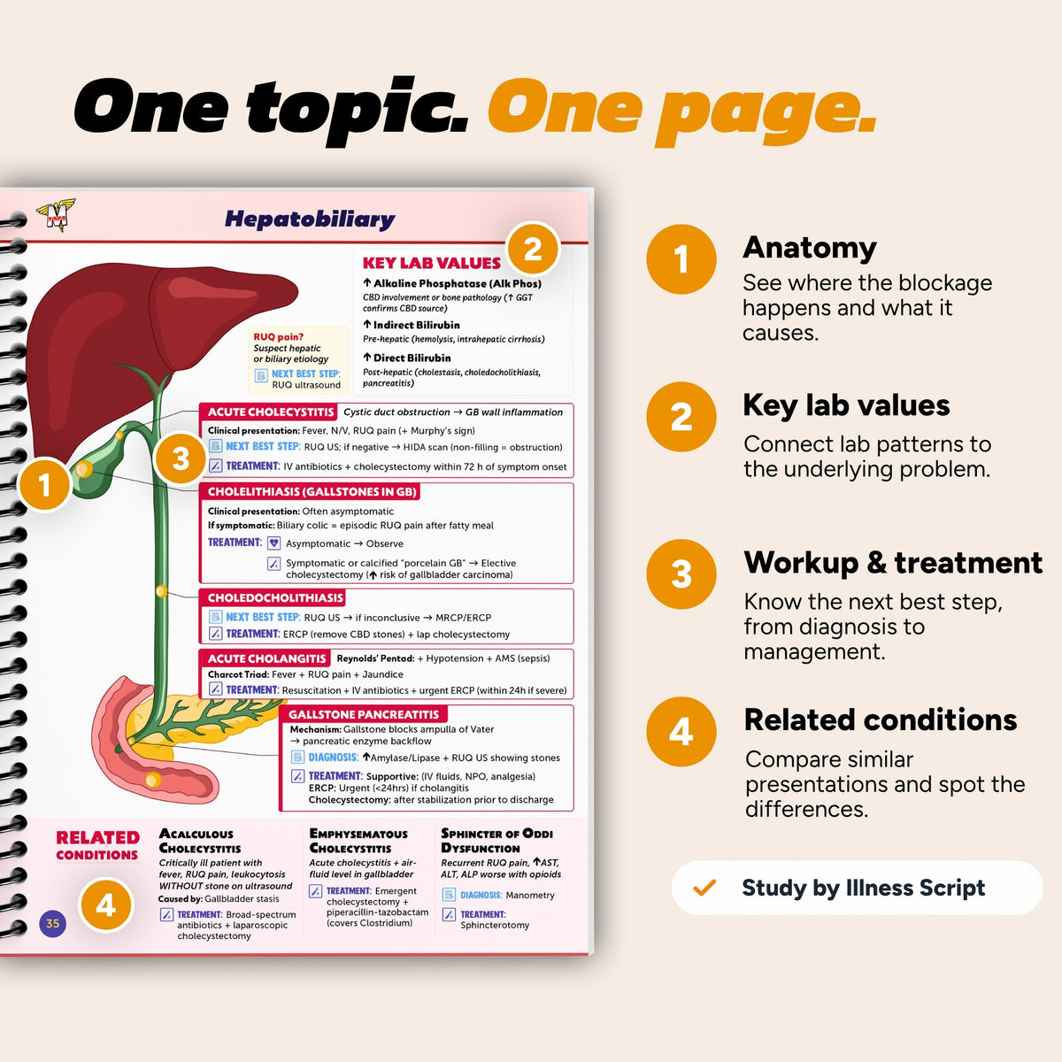 The Complete USMLE Step 2 Guide