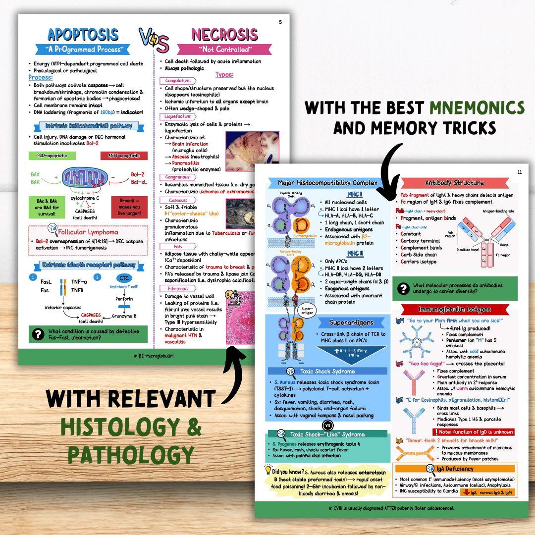 Principles of: Pathology & Immunology