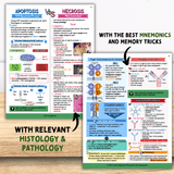 Principles of: Pathology & Immunology