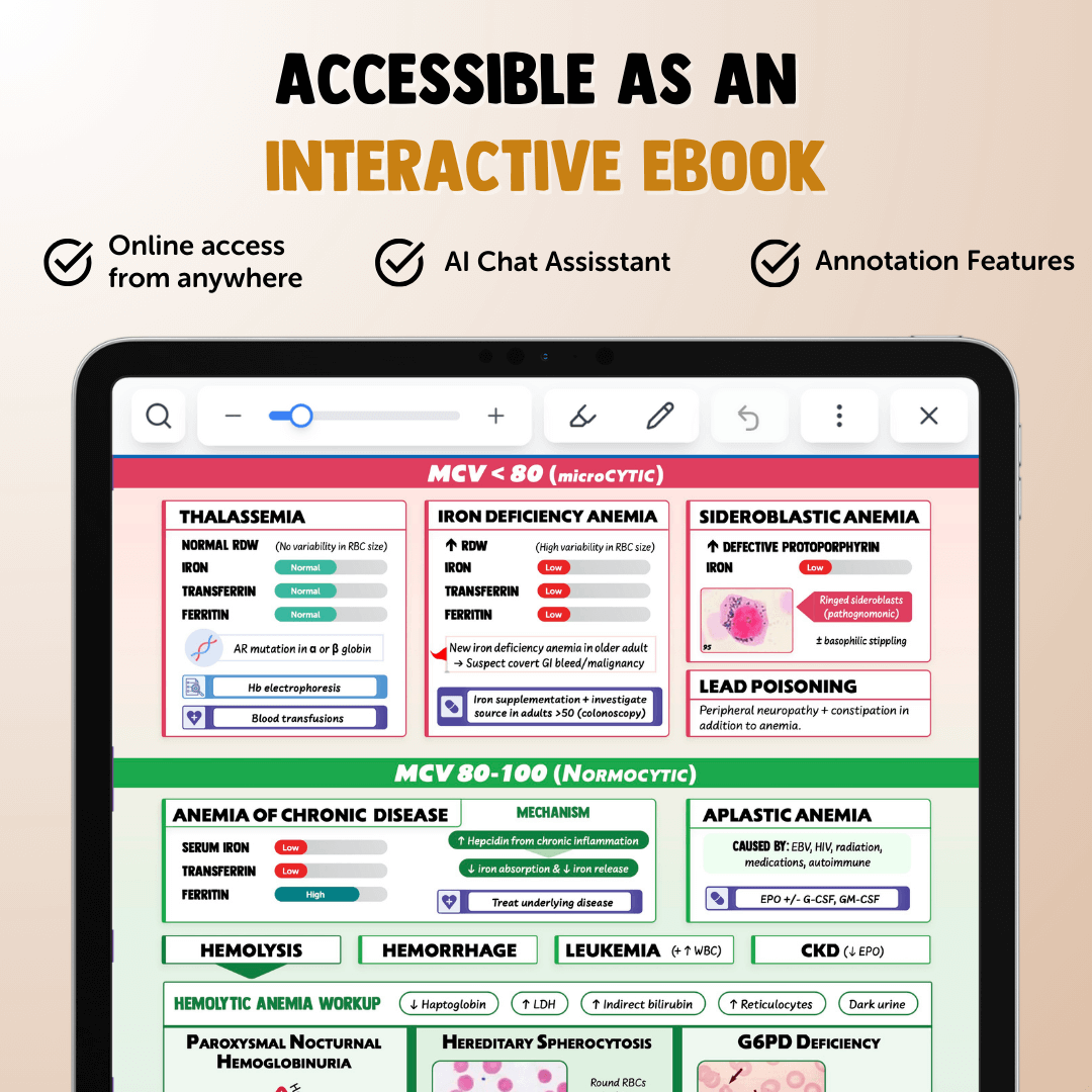 The Complete USMLE Step 2 Bundle