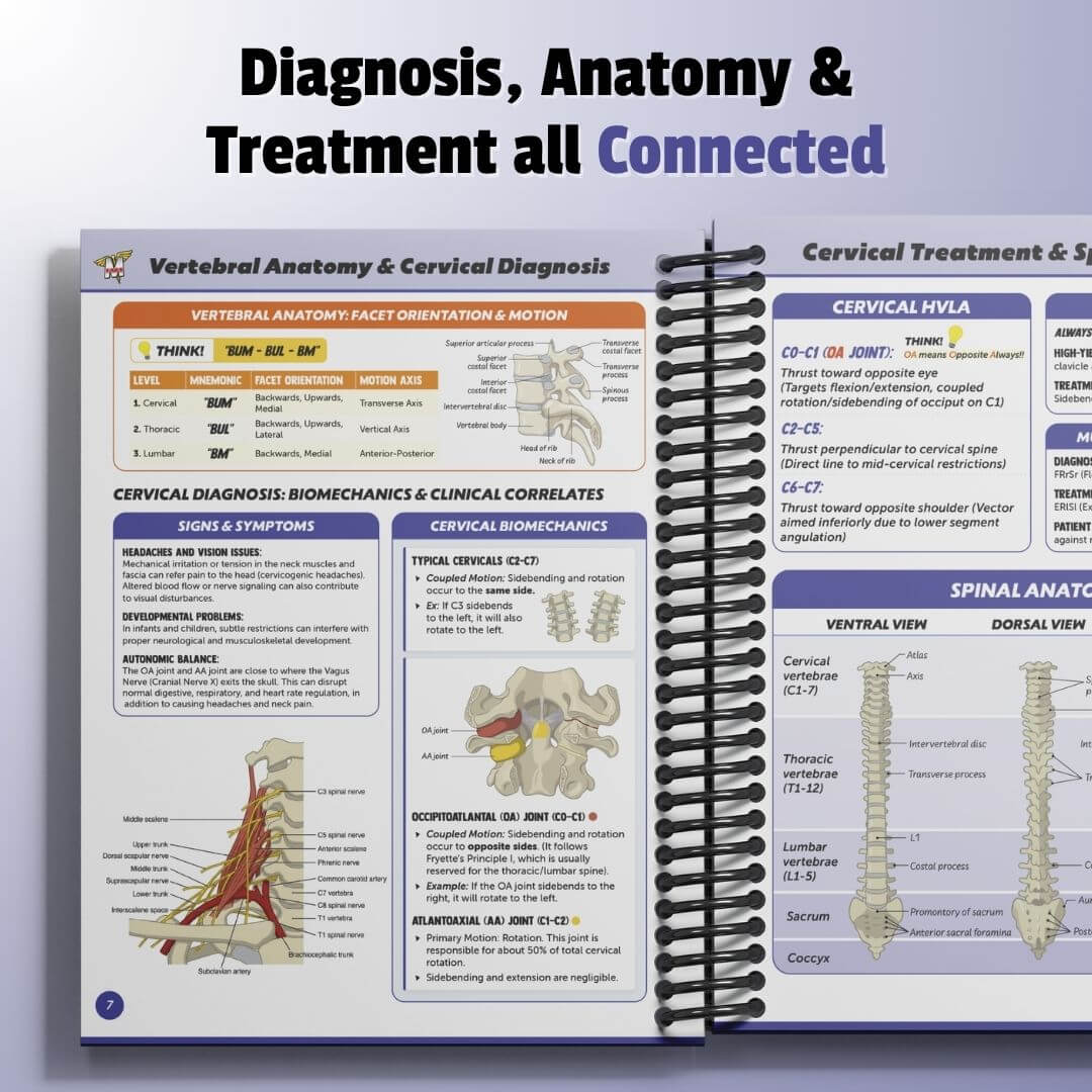 Principles of Osteopathic Manipulative Medicine