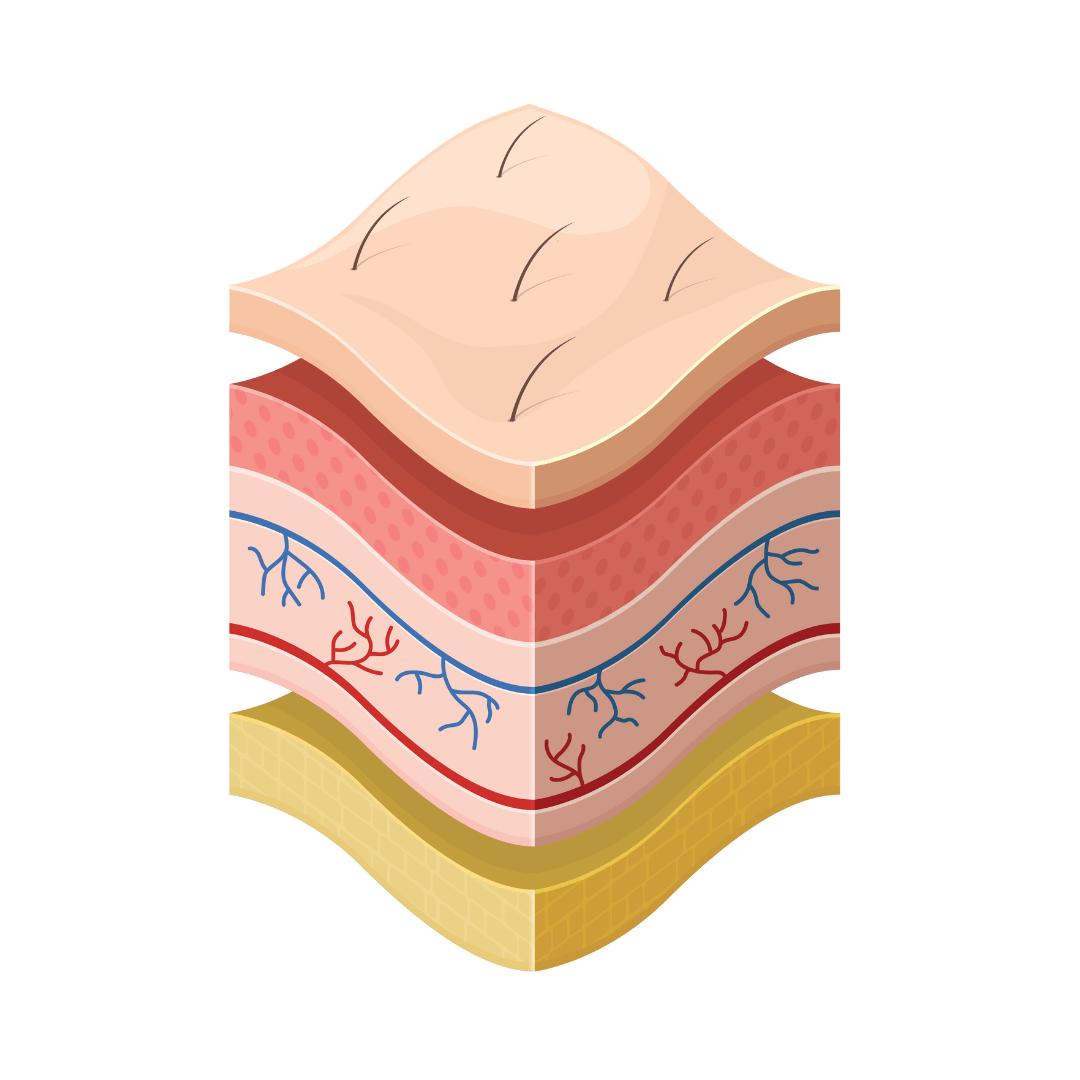 MSK & Dermatology