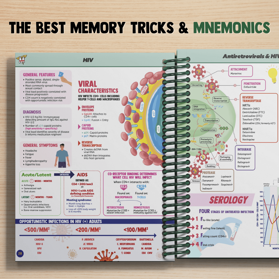 Pathology & Immunology