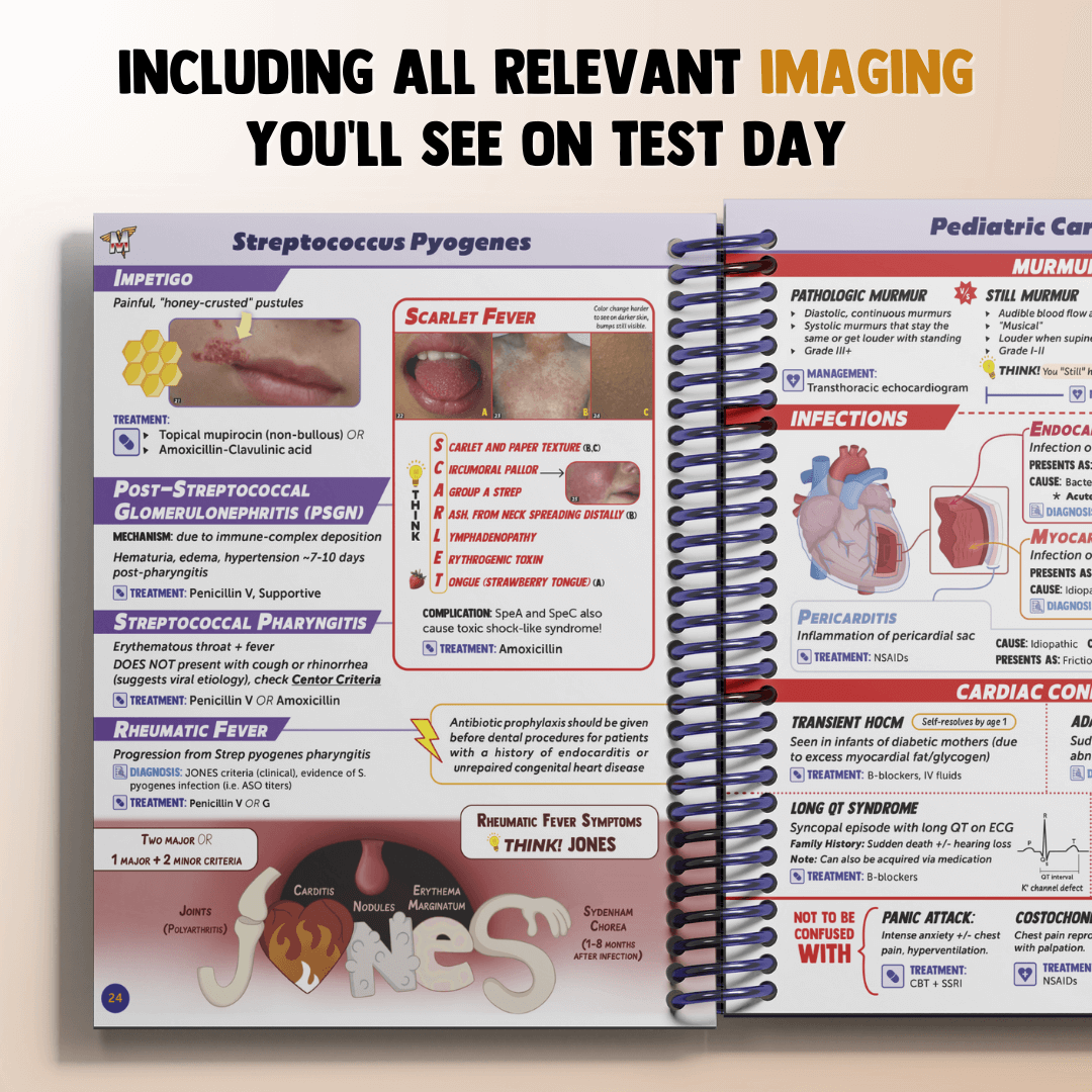 The Complete USMLE Step 2 Bundle