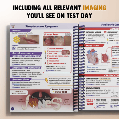 The Complete USMLE Step 2 Bundle