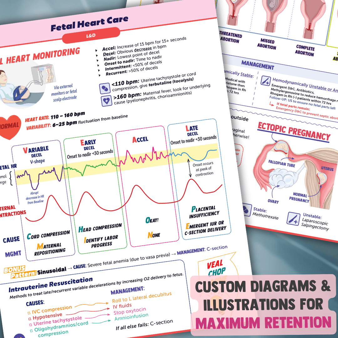 Obstetrics & Gynecology