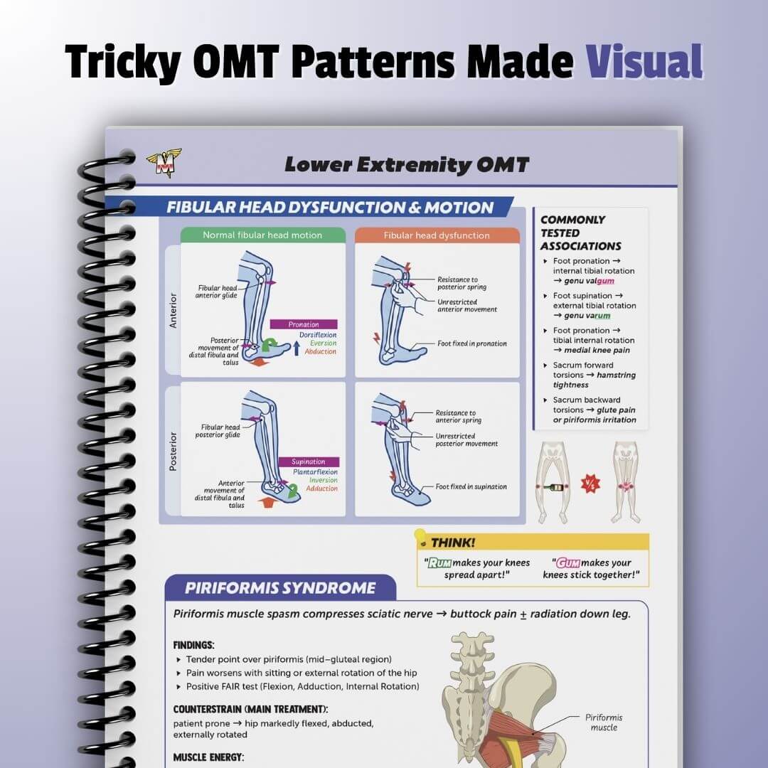 Principles of Osteopathic Manipulative Medicine (OMM) – MedSchoolBro