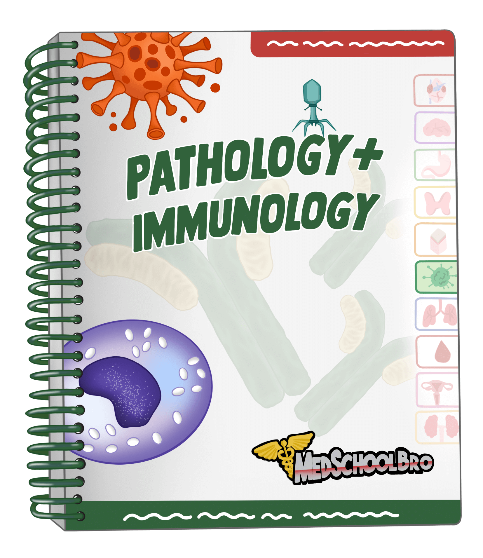 Pathology & Immunology