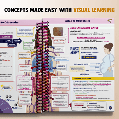 The Complete USMLE Step 2 Bundle