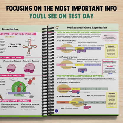 The Complete MCAT Bundle