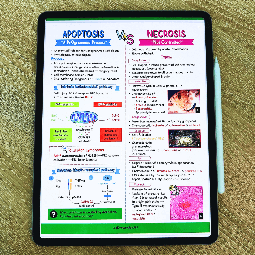 Principles of: Pathology & Immunology