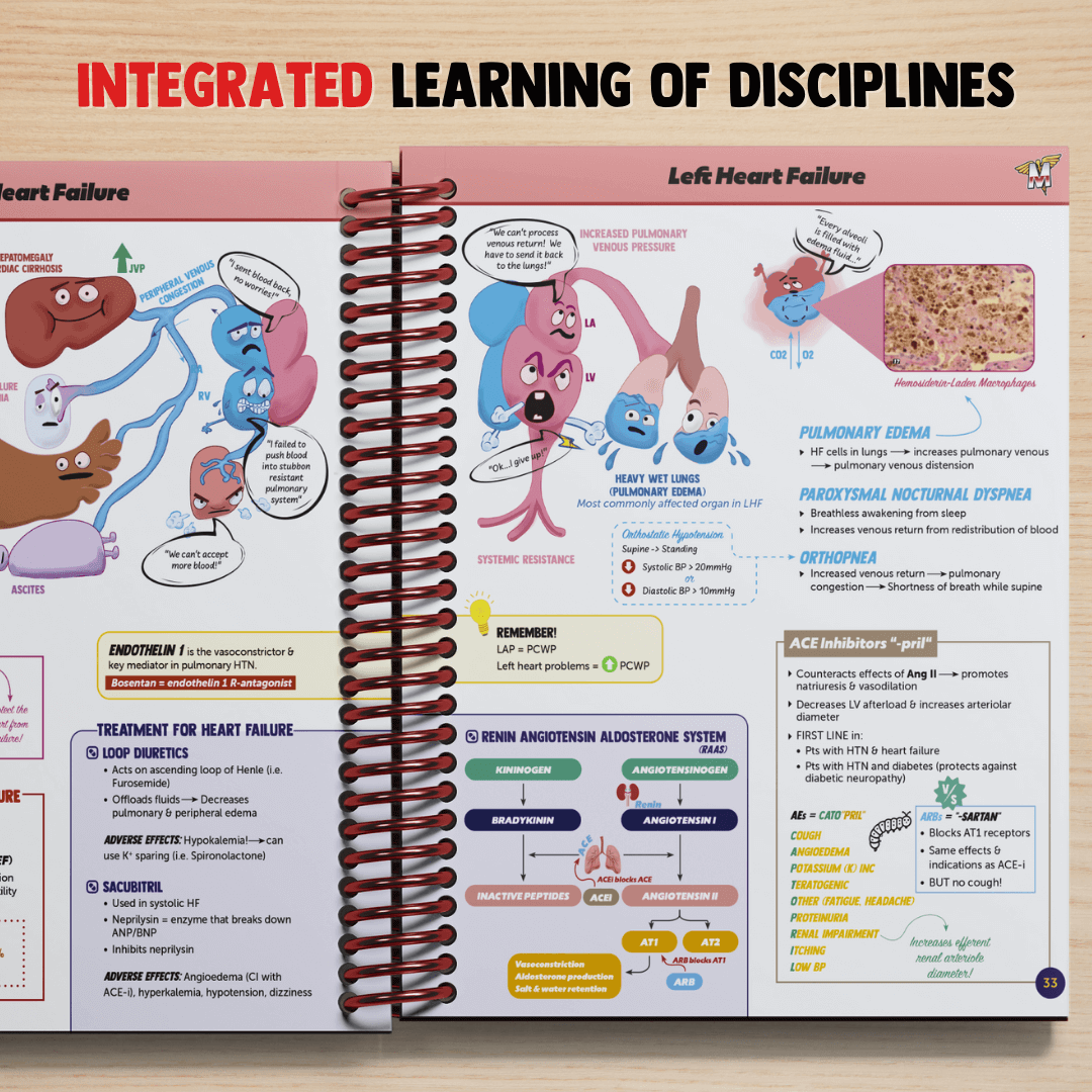 Cardiology