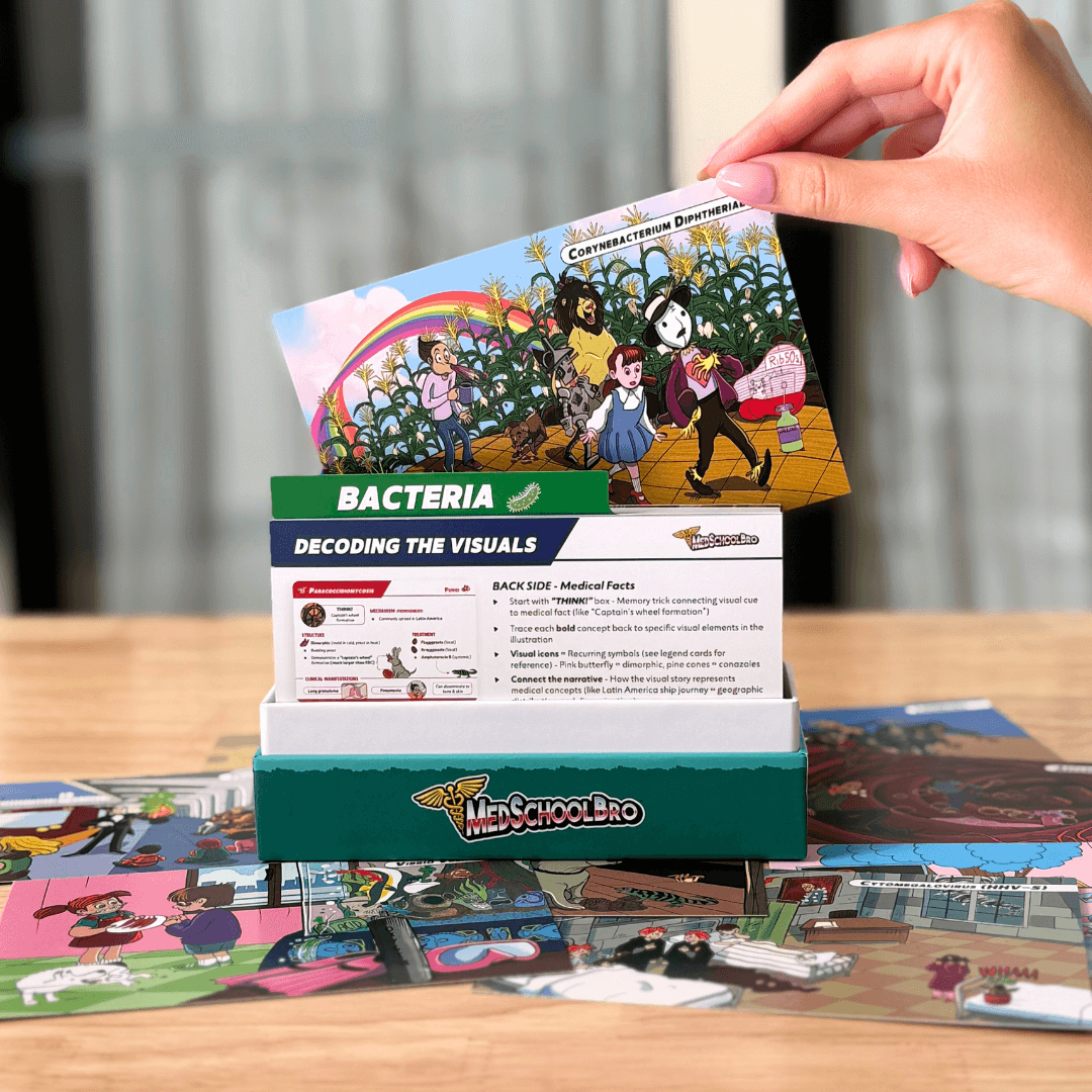 USMLE Flashcards - Pharmacology & Microbiology