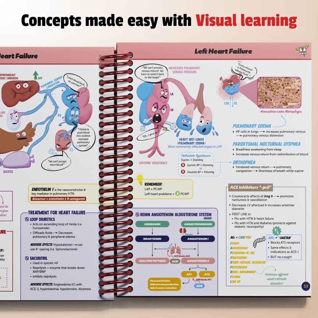 The Complete USMLE Step 1 Bundle