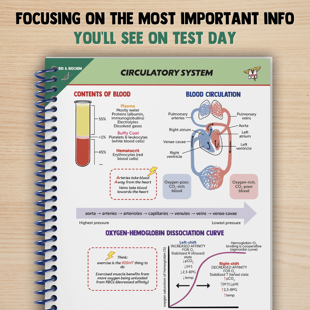 The Complete MCAT Bundle