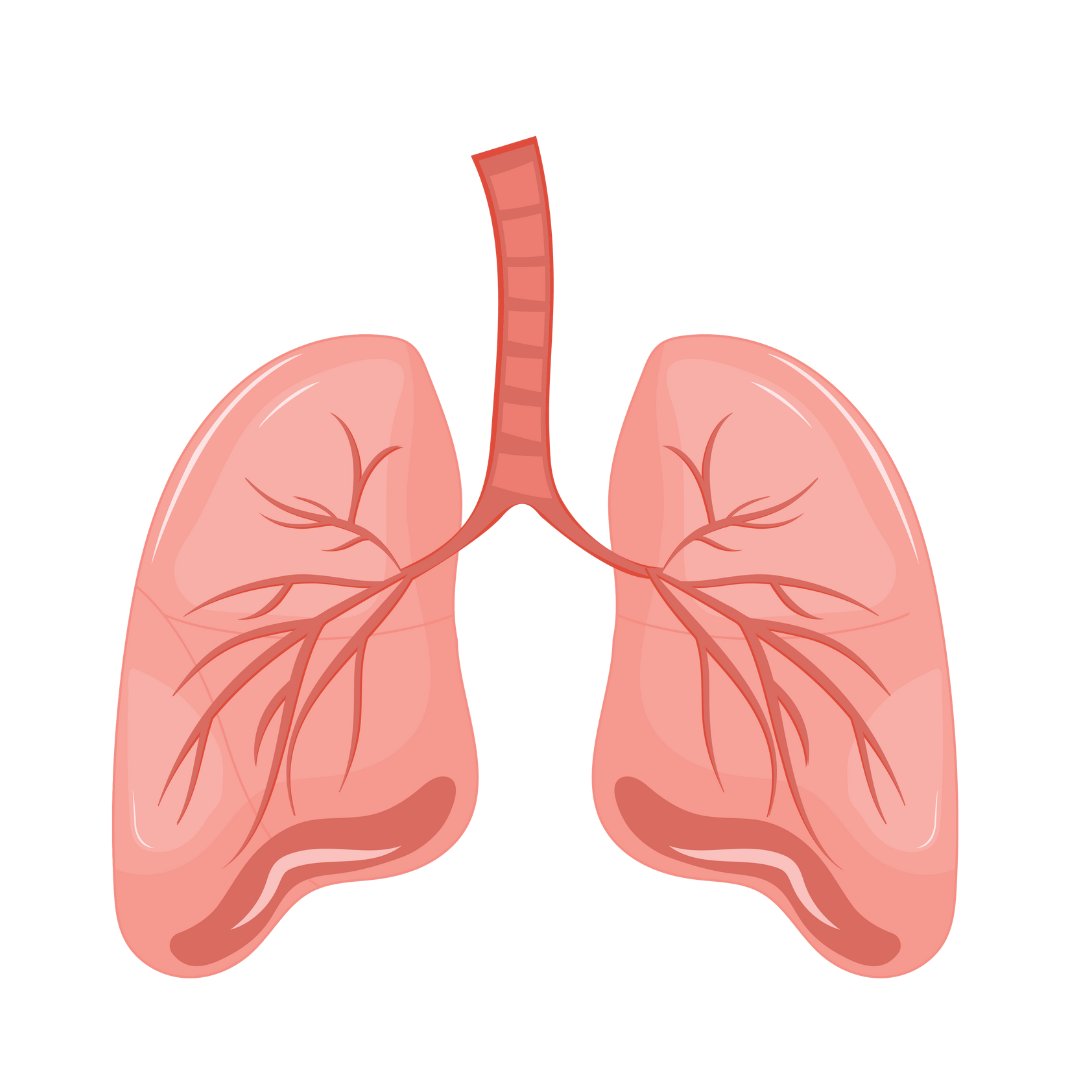 Pulmonology