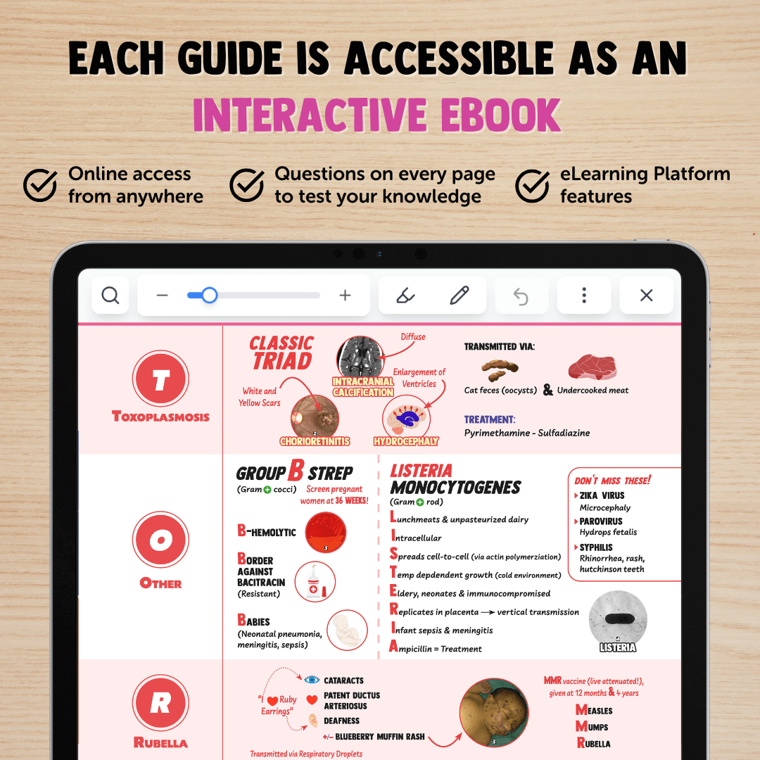 USMLE Step 1 Test prep – MedSchoolBro
