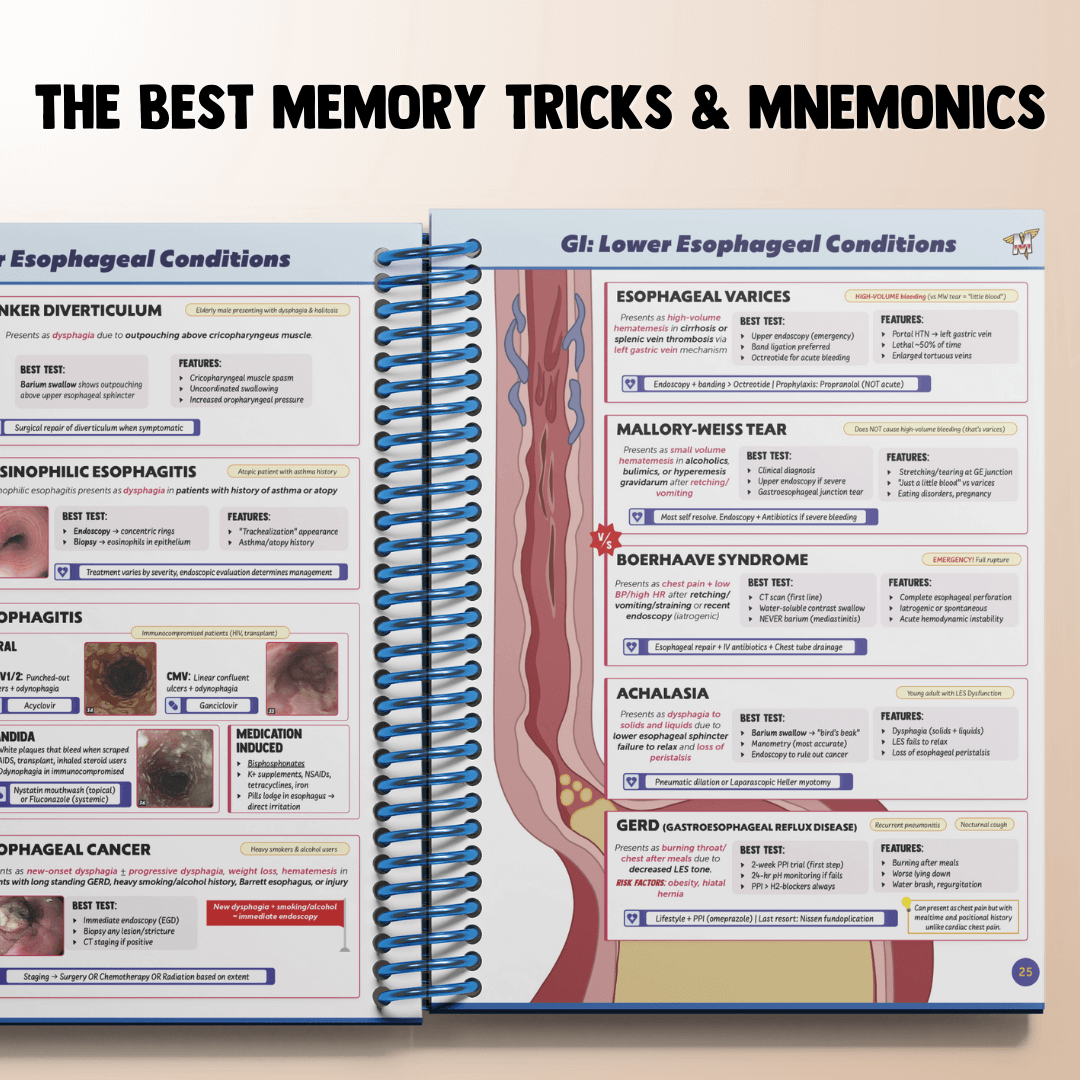 The Complete USMLE Step 2 Bundle