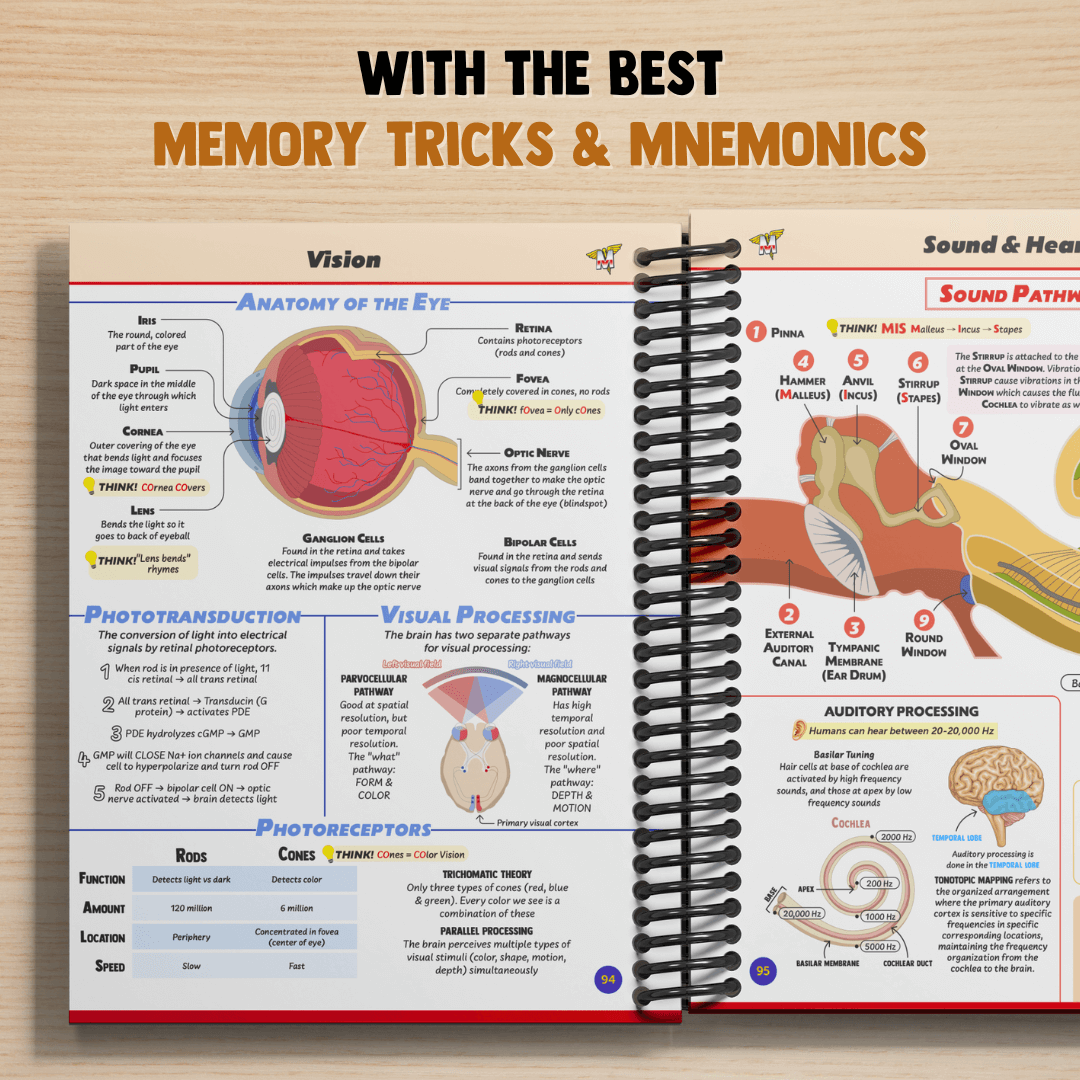 The Complete MCAT Bundle
