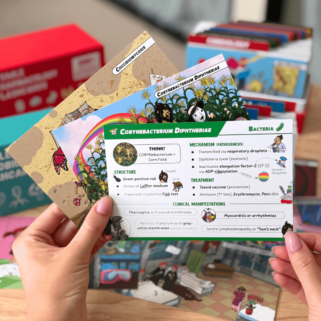 USMLE Flashcards - Pharmacology & Microbiology