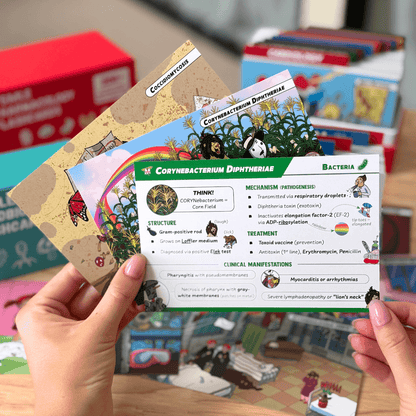 USMLE Flashcards - Pharmacology & Microbiology