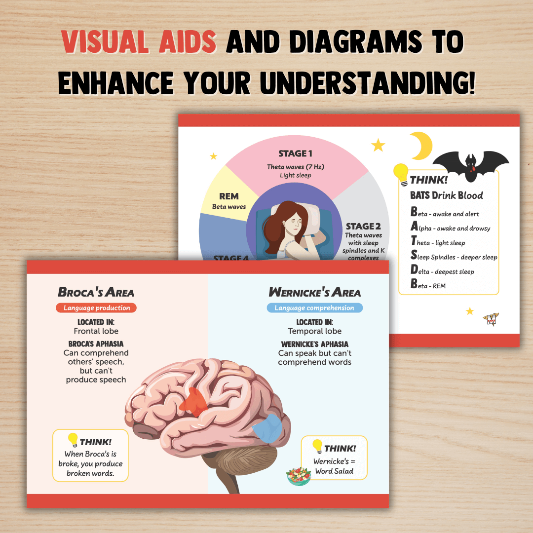 MCAT Flashcard Set