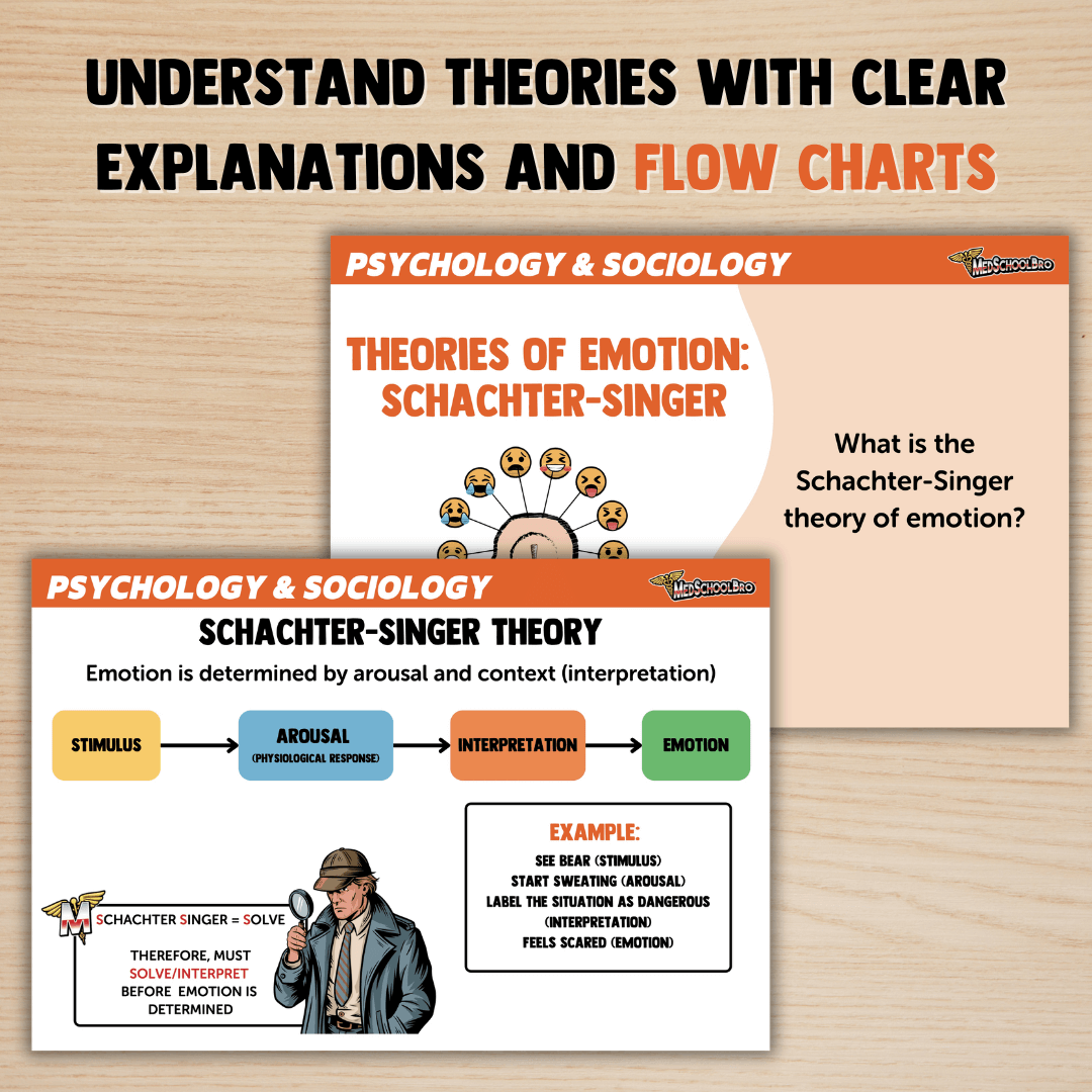 MCAT Flashcard Set