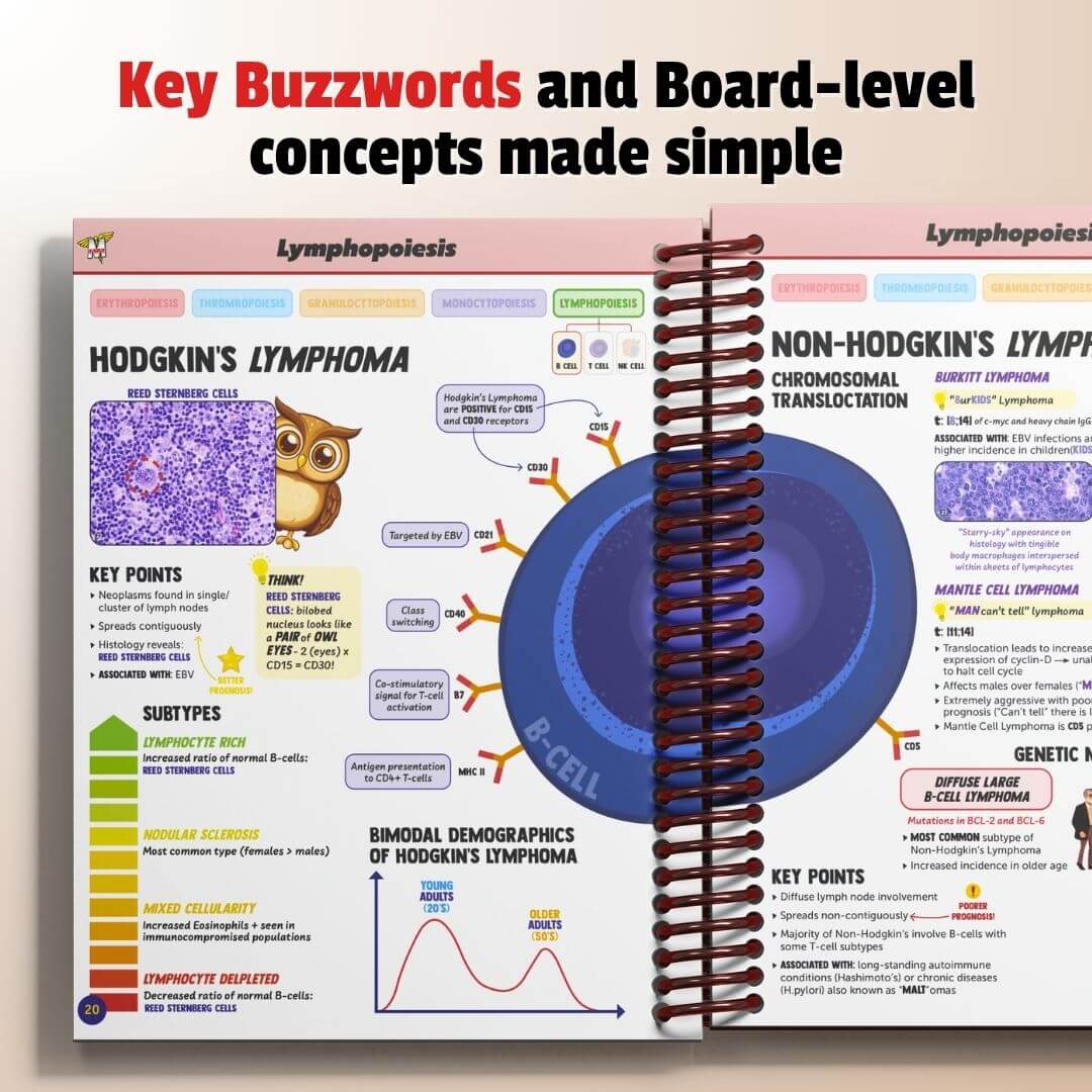 The Complete USMLE Step 1 Bundle