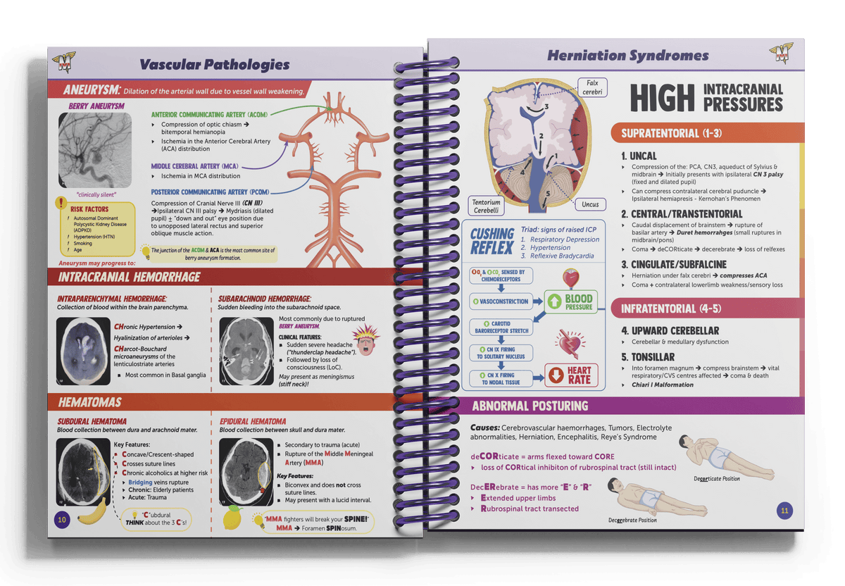 Usmle Picture USMLE Step 1 Test prep – MedSchoolBro